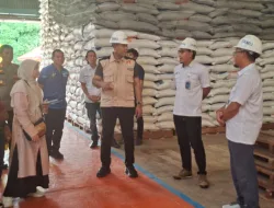Stok Beras 1.300 Ton di Gudang Bulog Lawanga, Satgas Pangan Pastikan Aman Hingga Setahun