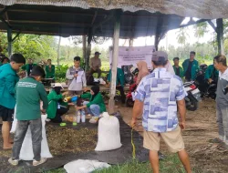 Praktik Lapangan Mahasiswa Unsimar, Perkuat Sinergi Akademisi dan Masyarakat Desa