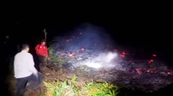 Karhutla Taripa Hanguskan Lima Hektare Hutan dan Kebun Durian