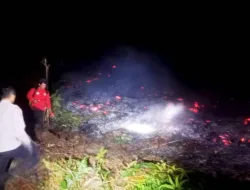 Karhutla Taripa Hanguskan Lima Hektare Hutan dan Kebun Durian
