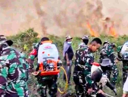 Karhutla di Pasir Putih, Prajurit Denzipur 15/SLM Berjibaku Padamkan Api